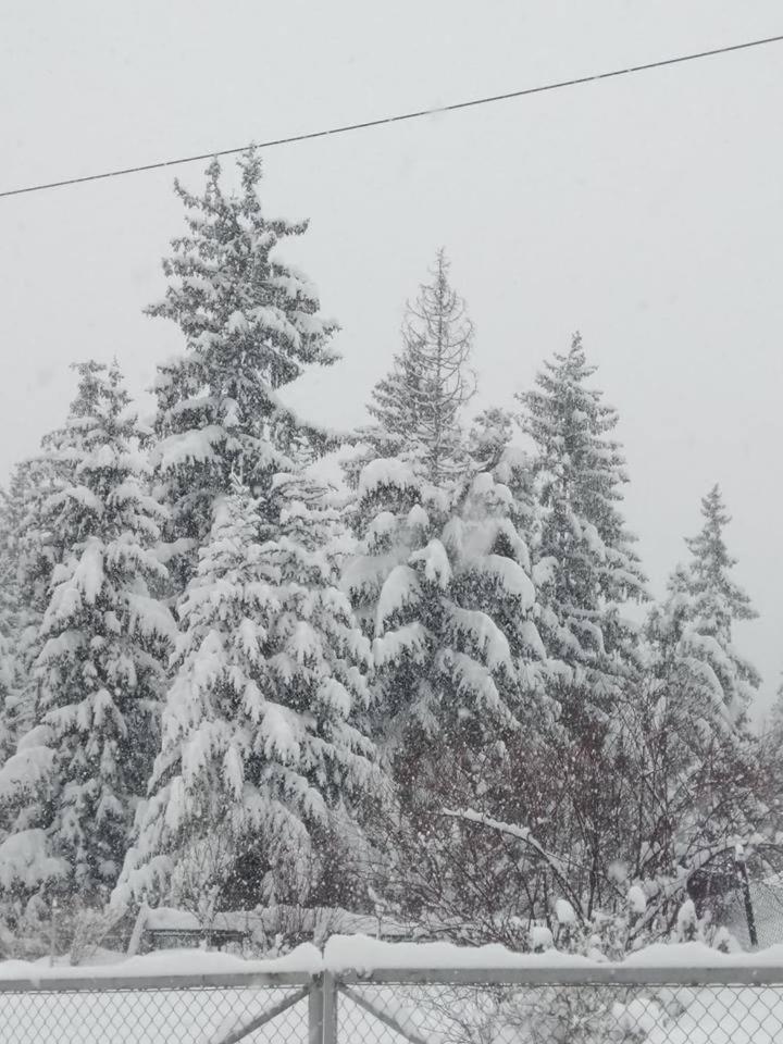 Cicha Dolinka Lägenhet Zakopane Exteriör bild