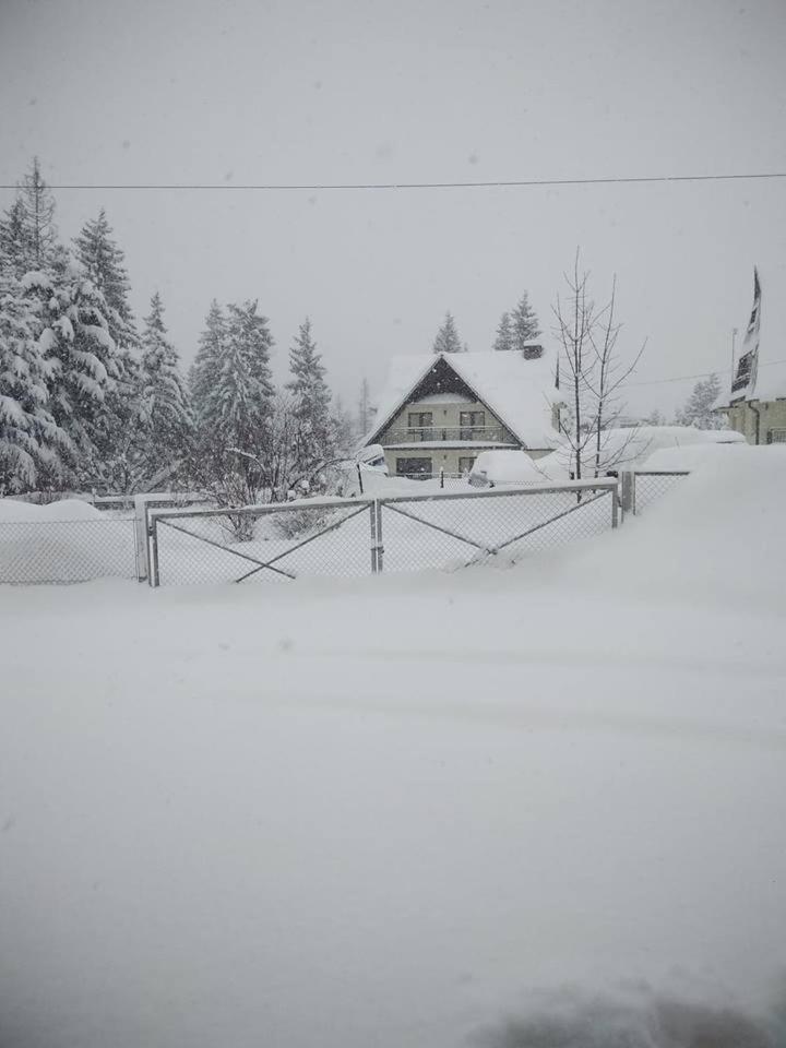 Cicha Dolinka Lägenhet Zakopane Exteriör bild